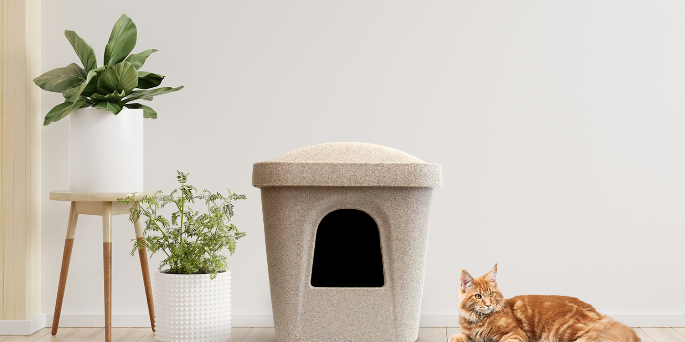 Untitled design (39)